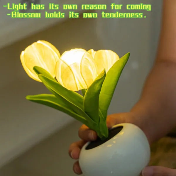 Tulip lamp glowing at night